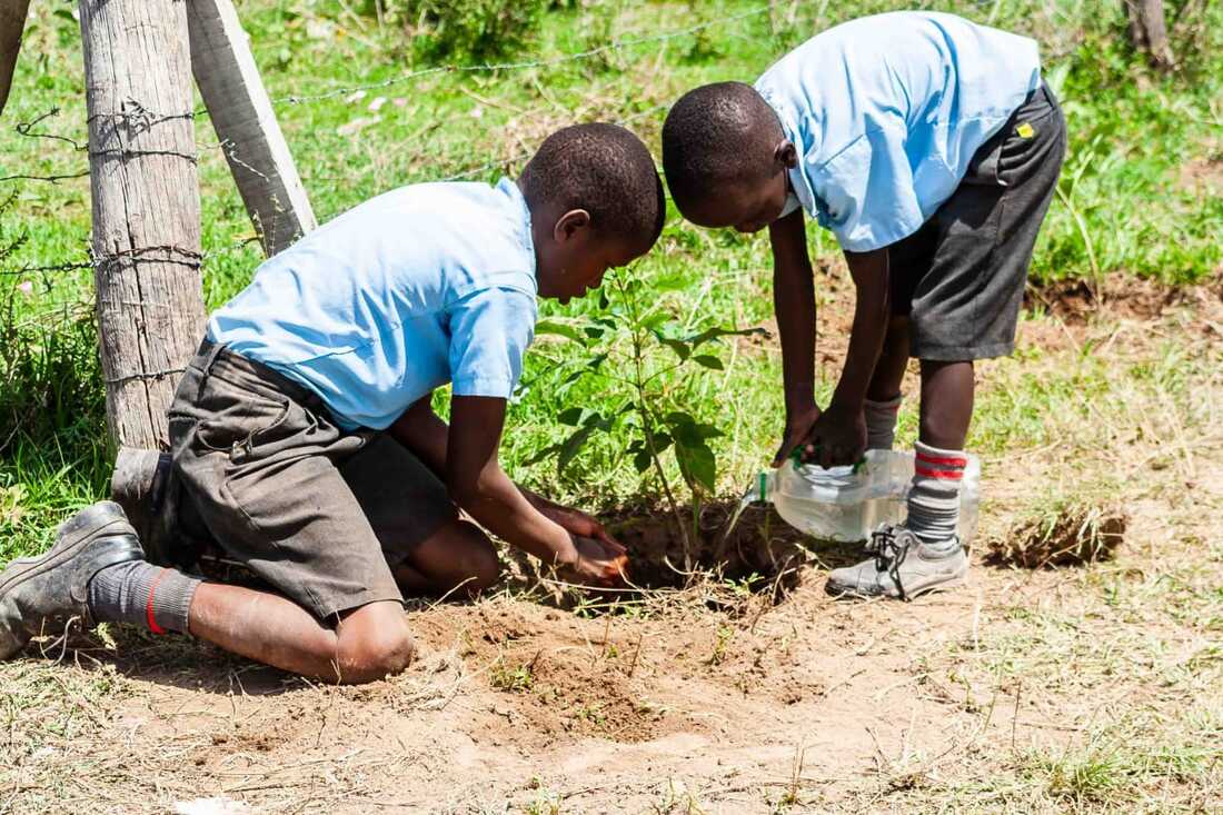 Naeli Foundation community work